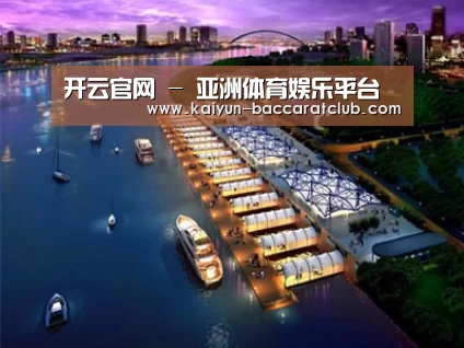 案例展示八