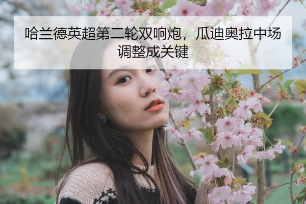 ha-lan-de-ying-chao-di-er-lun-shuang-xiang-pao-gua-di-ao-la-zhong-chang-tiao-zheng-cheng-guan-jian-2-841.jpg