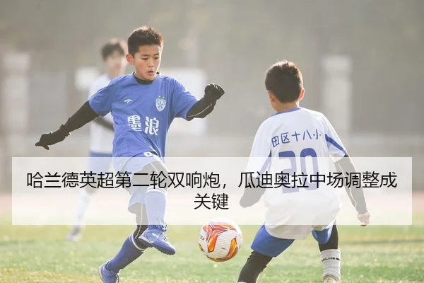 ha-lan-de-ying-chao-di-er-lun-shuang-xiang-pao-gua-di-ao-la-zhong-chang-tiao-zheng-cheng-guan-jian-3-799.jpg