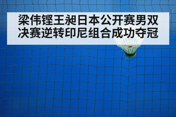 梁伟铿王昶日本公开赛男双决赛逆转印尼组合成功夺冠